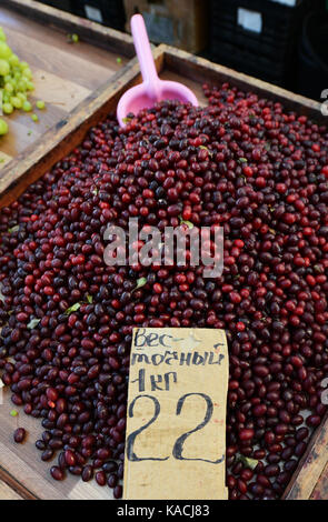 Mercato Pryvoz è un mercato tentacolare risalente al 1827 la vendita di prodotti freschi, i beni usati & economici abbigliamento. Foto Stock