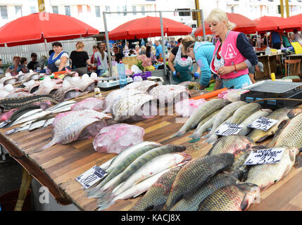 Mercato Pryvoz è un mercato tentacolare risalente al 1827 la vendita di prodotti freschi, i beni usati & economici abbigliamento. Foto Stock