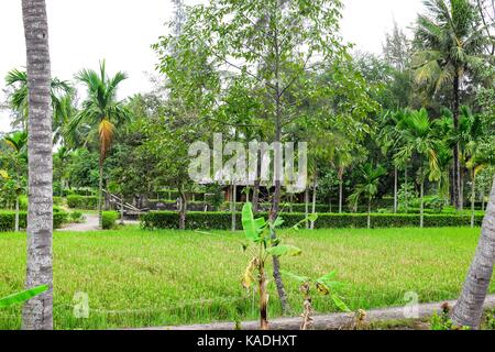 Figlio mio, vietnam - marzo 23, 2016: my lai massacre memorial sito. my lai massacro era la guerra del Vietnam di uccisione di massa compresa tra 347 e 504 unarm Foto Stock