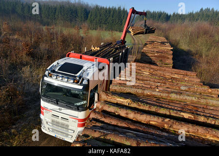 Industria del legno: caricamento di abete tronchi in una foresta del dipartimento Franche-Comte (centro-est della Francia) per la produzione di pasta di carta Foto Stock