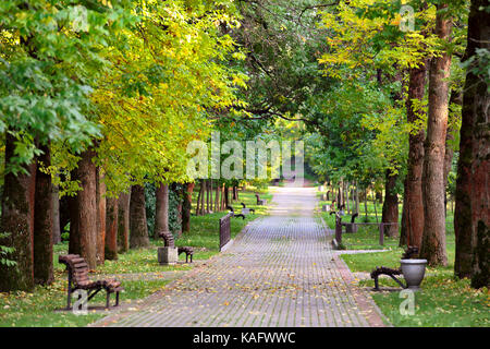 Paesaggio autunnale - banchi su una bella passeggiata d'Autunno nel parco. maple vicolo. soleggiata giornata autunnale. vecchie panchine di legno sul lato del percorso Foto Stock
