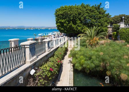 Siracusa (Sicilia, Italia) - Fonte Aretusa, fonte antica vicino al mare con il papiro piante e uccelli acquatici Foto Stock