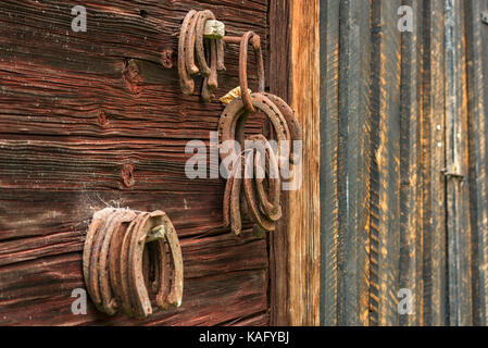 Vecchio arrugginito cavalcate appesa sul muro del granaio. Foto Stock