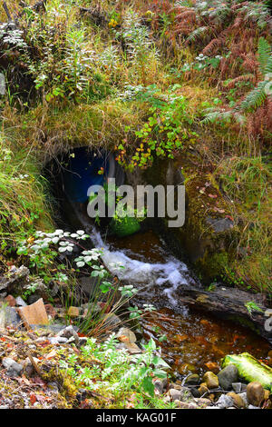 Uscita acqua di un flusso in esecuzione sotto una strada Foto Stock