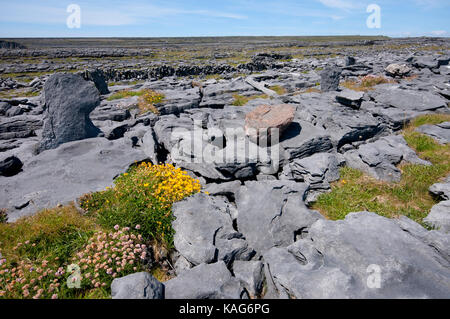 Paesaggio di Inishmore isola nei pressi di rovine di Dun Duchathair (nero Fort), Isole Aran, nella contea di Galway, Irlanda Foto Stock