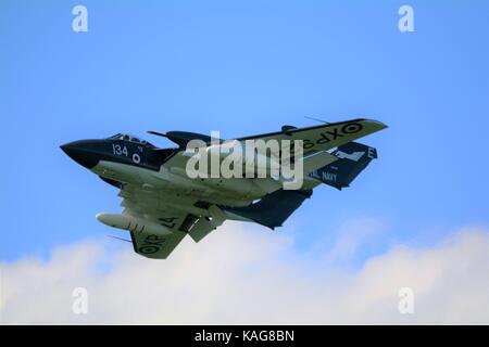 Seavixen battenti a duxford royal navy fighter Foto Stock