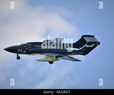 Seavixen battenti a duxford royal navy fighter Foto Stock