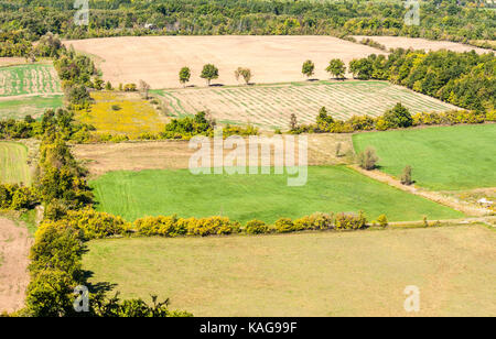 Svuotare i campi agricoli in inizio autunno delimitate da alberi e arbusti, visto dal di sopra, nelle zone rurali in Ontario, Canada. Foto Stock