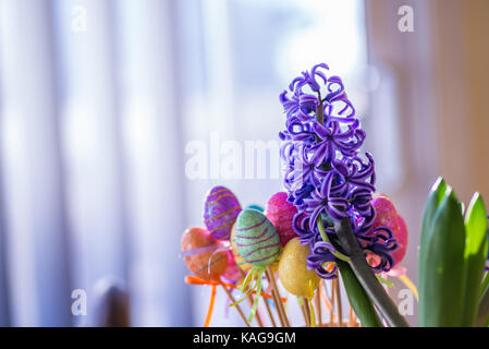 Giacinto viola fiore e un colorato pasqua glittery uova in plastica Foto Stock