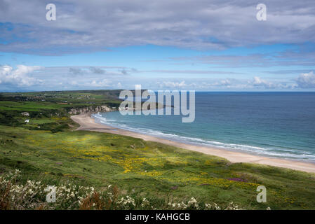 Spiaggia di sabbia in whitepark bay, nella contea di Antrim, Irlanda del Nord e Gran Bretagna Foto Stock