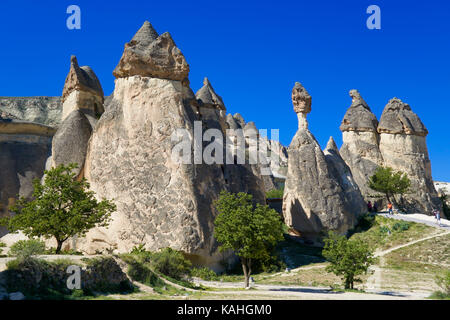 Tipico di camini di fata, arenaria erose le formazioni rocciose in Pasabagi, vicino alla città di Göreme Çavusin e. Cappadocia. Anatolia centrale. Turchia Foto Stock