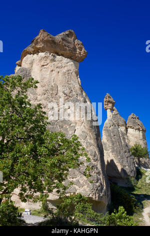 Tipico di camini di fata, arenaria erose le formazioni rocciose in Pasabagi, vicino alla città di Göreme Çavusin e. Cappadocia. Anatolia centrale. Turchia Foto Stock