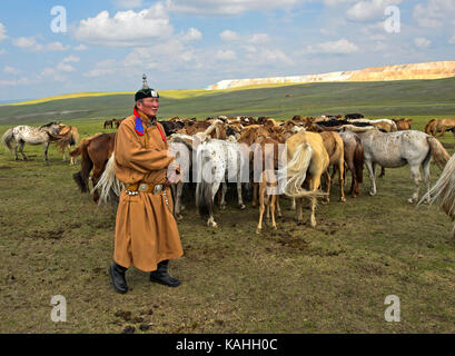 Uomo mongolo, cavallo-onorato, in abito tradizionale con mandrie di cavalli e Mongolia Foto Stock