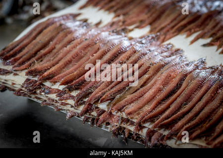 La preparazione e la sfilettatura acciughe salate al roque anchois acciuga nella factory di collioure Francia Foto Stock