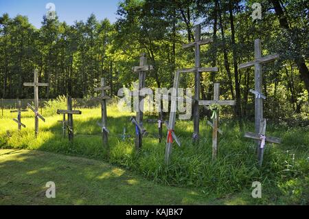 Ortodosso orientale nel cimitero koterka, villaggio in podlaskie voviodeship, Polonia. Foto Stock