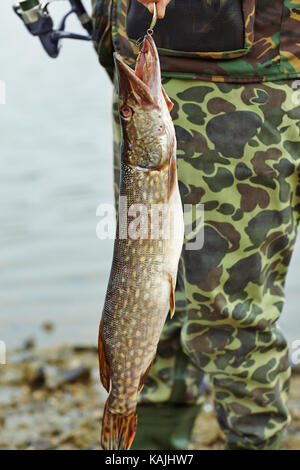 Fisherman tenendo un pike catturato sulla filatura Foto Stock