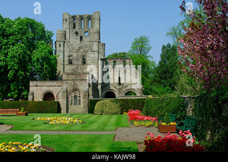 Kelso Abbey Gardens Foto Stock