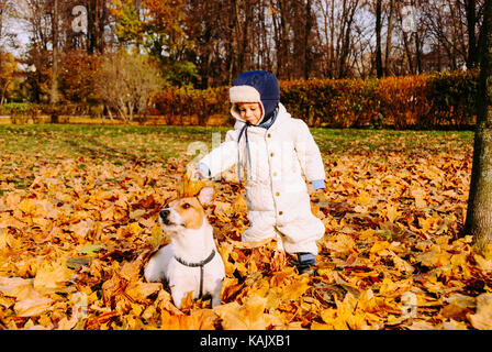 1-2 anni ragazzo giocando con cordiale cane pet a caduta (autunno) park Foto Stock