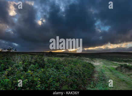 Penwith cornish moor Foto Stock