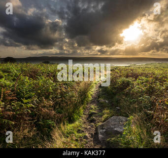 Penwith cornish moor Foto Stock