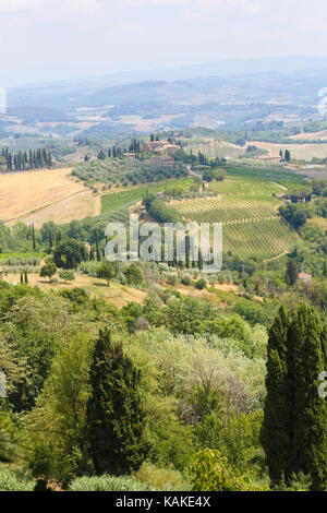 Vigneti vicino a San Gimignano, città delle belle torri in Toscana, Italia Foto Stock