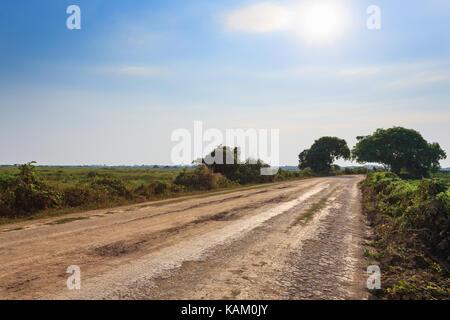 Brasiliano della strada sterrata in prospettiva. Famosi brasiliani Transpantaneira strada sterrata. Area Pantanal, Brasile Foto Stock