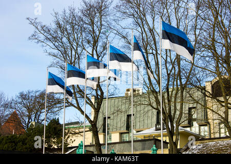 Bandiere di estonia vicino alla guerra di indipendenza, la colonna della vittoria a Tallinn Foto Stock