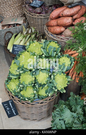 Gli ortaggi biologici per la vendita a Daylesford Organic farm shop festival d'autunno. Daylesford, Cotswolds, Gloucestershire, Inghilterra Foto Stock