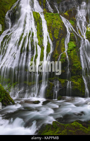 La molla flusso di acqua si riversa su Panther Creek Falls a Washington la Gifford Pinchot National Forest. Foto Stock