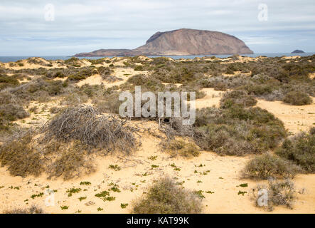 Montana Clara isola riserva naturale da Graciosa island, Lanzarote, Isole Canarie, Spagna Foto Stock