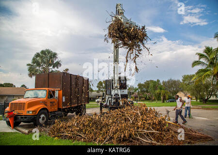 Wellington, Florida, Stati Uniti d'America. Il 27 settembre, 2017. William Bridges, Moycock, NC e Alvin Rushin, Buena Vista, GA contribuire a pulire uragano Irma detriti su Rolling Meadows Cerchio di Wellington, in Florida il 27 settembre 2017. Credito: Allen Eyestone/Palm Beach post/ZUMA filo/Alamy Live News Foto Stock