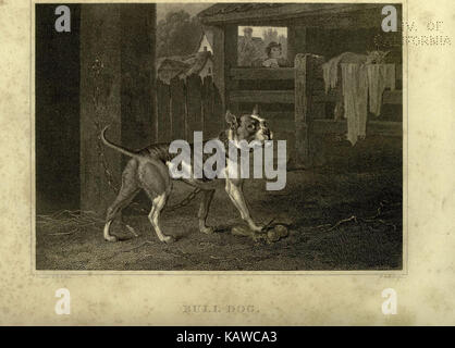 Questa immagine mostra la targa 37 di "The Sportsman's Repository", che include rappresentazioni dettagliate dell'attrezzatura sportiva. L'illustrazione si concentra sulla presentazione di vari strumenti utilizzati in diverse attività sportive all'aperto. Foto Stock