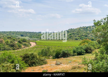 Vista sul paesaggio biblico, Judean Hills vicino a Beit Shemesh. Israele Foto Stock