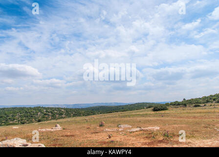 Vista sul paesaggio biblico, Judean Hills vicino a Beit Shemesh. Israele Foto Stock