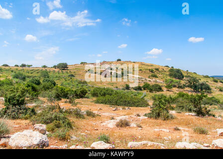 Vista sul paesaggio biblico, Judean Hills vicino a Beit Shemesh. Israele Foto Stock