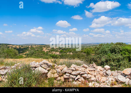 Vista sul paesaggio biblico, Judean Hills vicino a Beit Shemesh. Israele Foto Stock