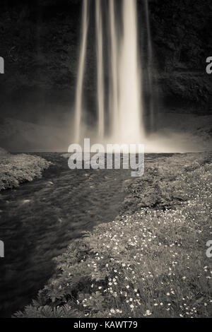 Fotografia in bianco e nero di una cascata e lo streaming in Islanda. Seljalandsfoss è una cascata in Islanda. Seljalandsfoss è situato nel sud Reg Foto Stock