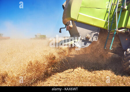 Molto vicino la mietitrebbia di mietitura del frumento Foto Stock