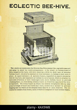 Il nuovo bee keepers" libro di testo42109993 BHL Foto Stock