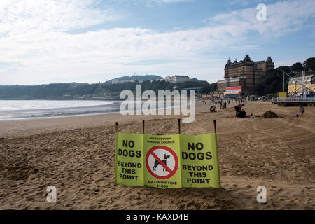 Non sono ammessi cani sulla spiaggia da maggio a settembre, Scarborough, Regno Unito Foto Stock