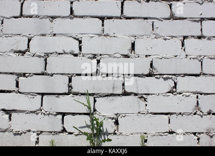 Casa elemento di parete dai mattoni dipinto in colore bianco Foto Stock