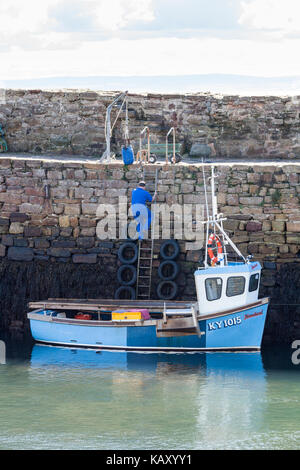 Un pescatore di aragoste preparando la sua barca prima di partire da Crail Harbour, Fife, Scozia UK Foto Stock