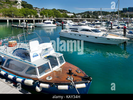 Barca da diporto che offre safari in mare ormeggiati al Princess Pier nel porto di Torquay, Devon, Regno Unito in una giornata di sole. Costa dei frutti di mare, Riviera inglese Foto Stock