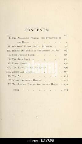 Il cavallo e i suoi parenti (pagina 7) BHL18232552 Foto Stock