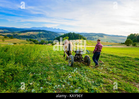 Il contadino coltiva il terreno con un cavallo in pieniny - area di montagna Foto Stock