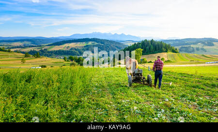 Il contadino coltiva il terreno con un cavallo in pieniny - area di montagna Foto Stock