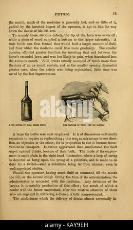 Il cavallo illustrato management (pagina 75) BHL21199518 Foto Stock