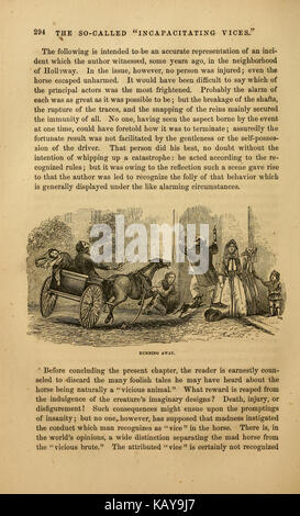 Il cavallo illustrato management (pagina 294) BHL21199737 Foto Stock