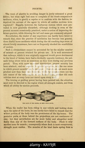 Il cavallo illustrato management (pagina 381) BHL21199824 Foto Stock