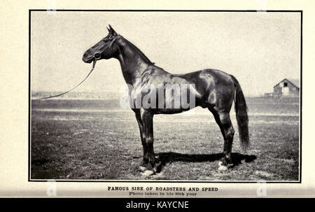 Il cavallo prenota BHL18389203 Foto Stock